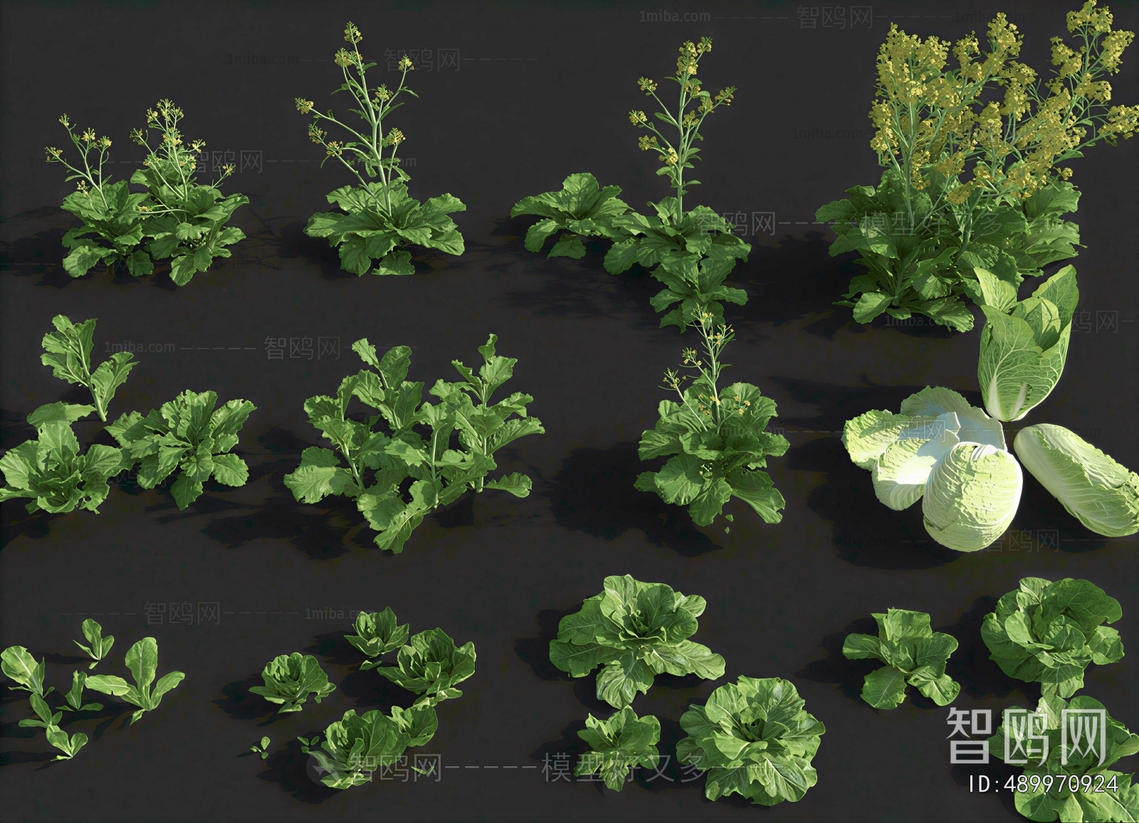 Modern Crop