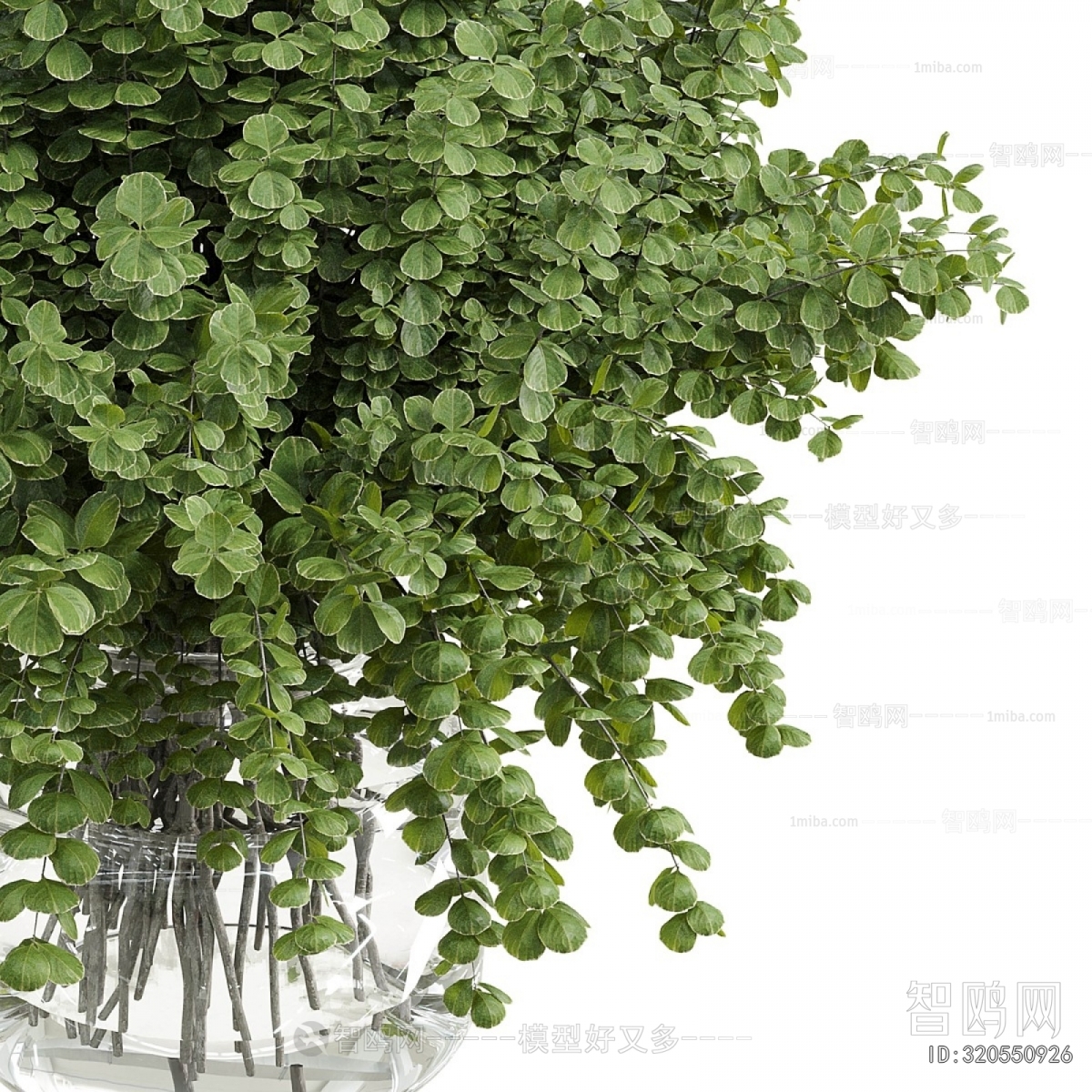 Modern Flower Arrangement