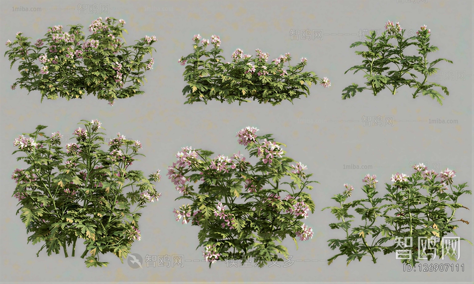Modern Shrubbery