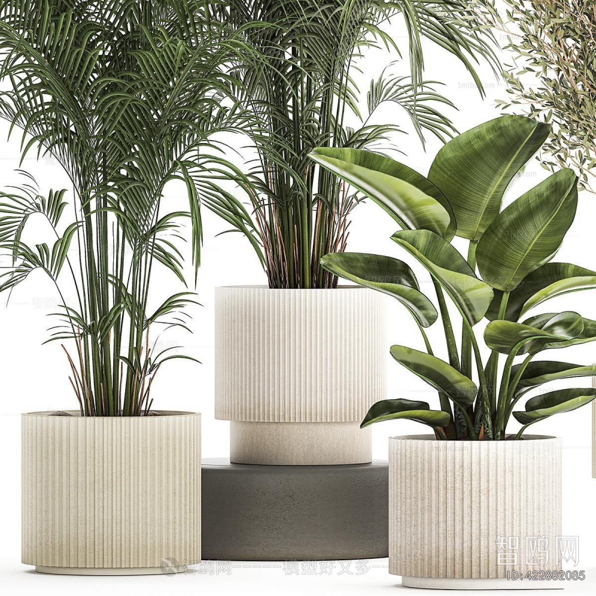 Modern Ground Green Plant Potted Plants