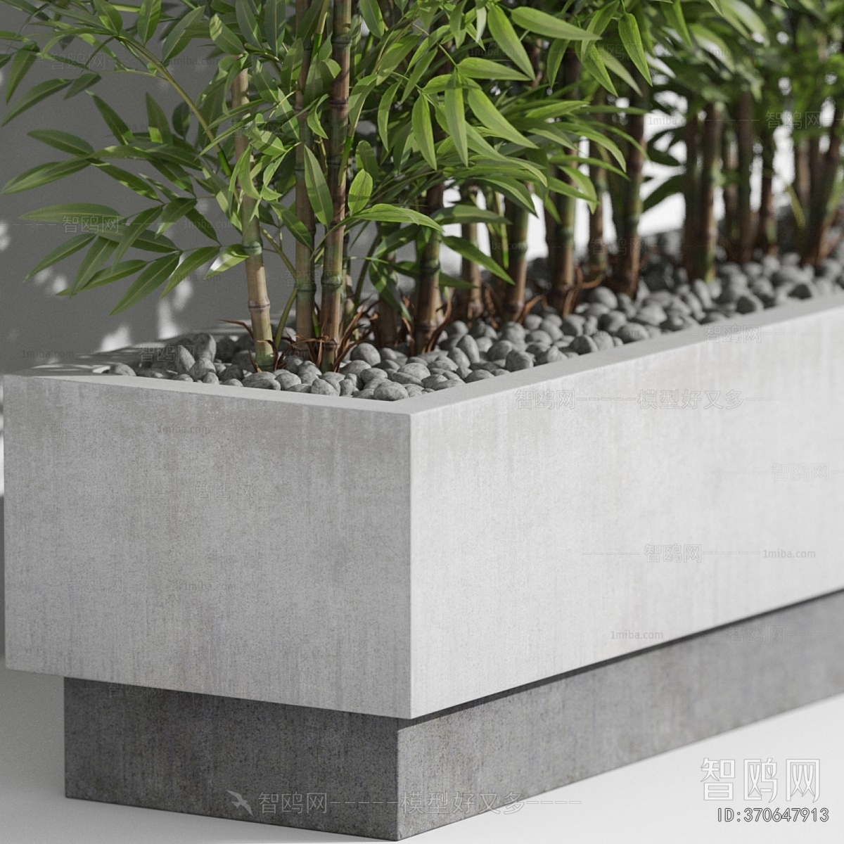 Modern Potted Green Plant