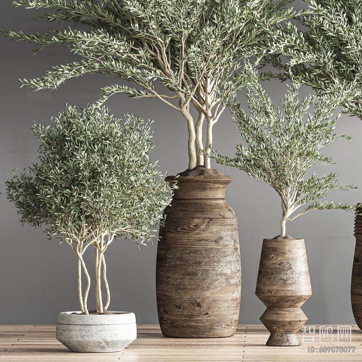 Modern Potted Green Plant