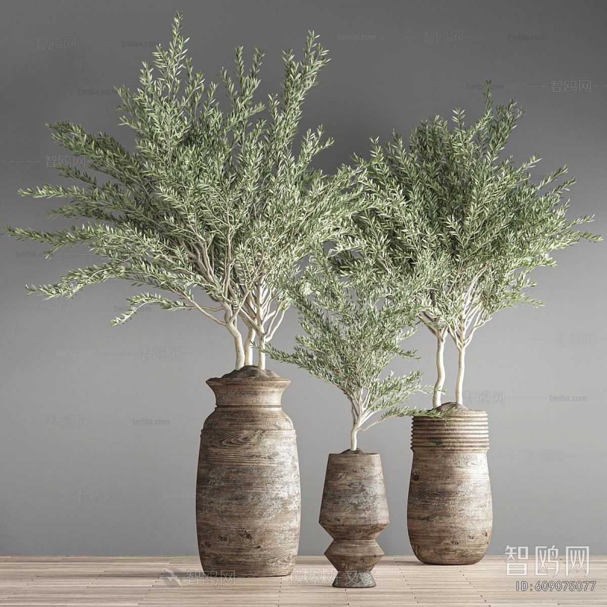 Modern Potted Green Plant