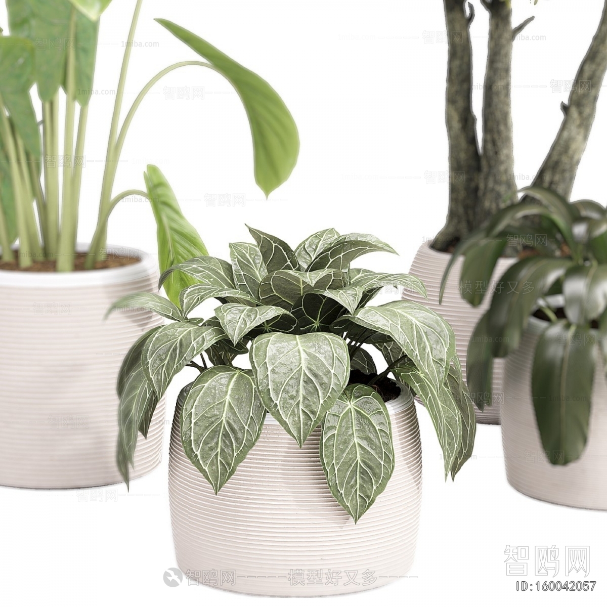 Modern Ground Green Plant Potted Plants