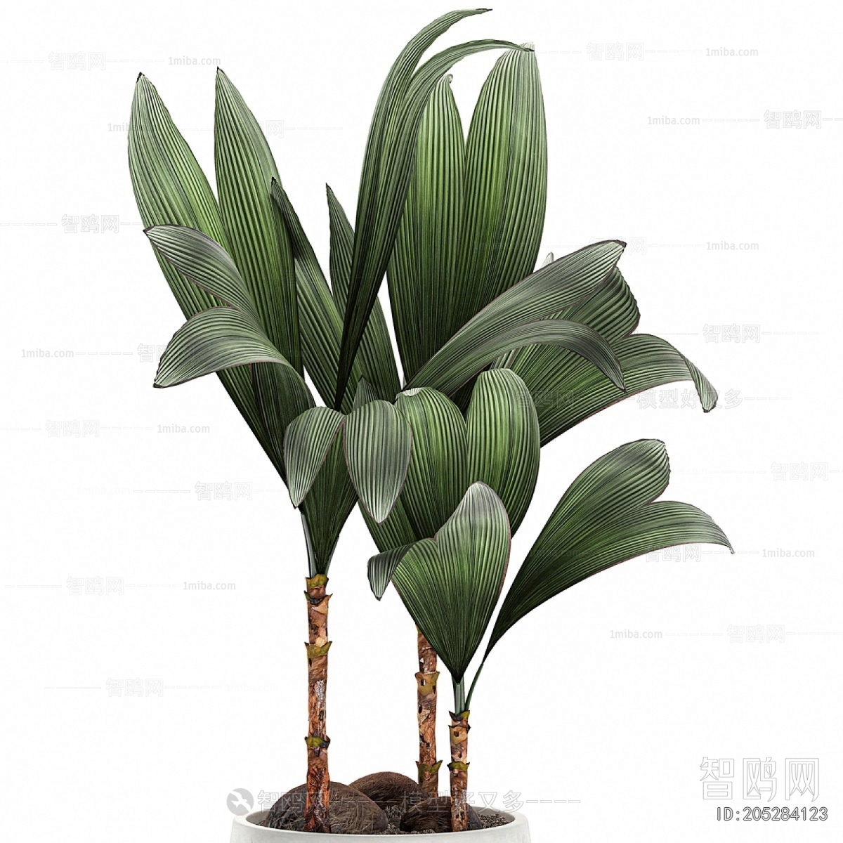 Modern Potted Green Plant