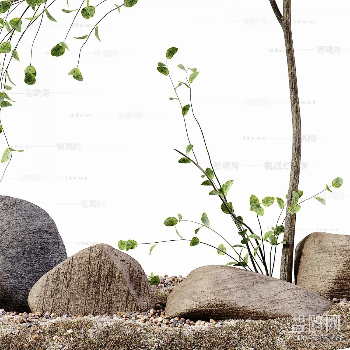 Modern Plant Landscaping