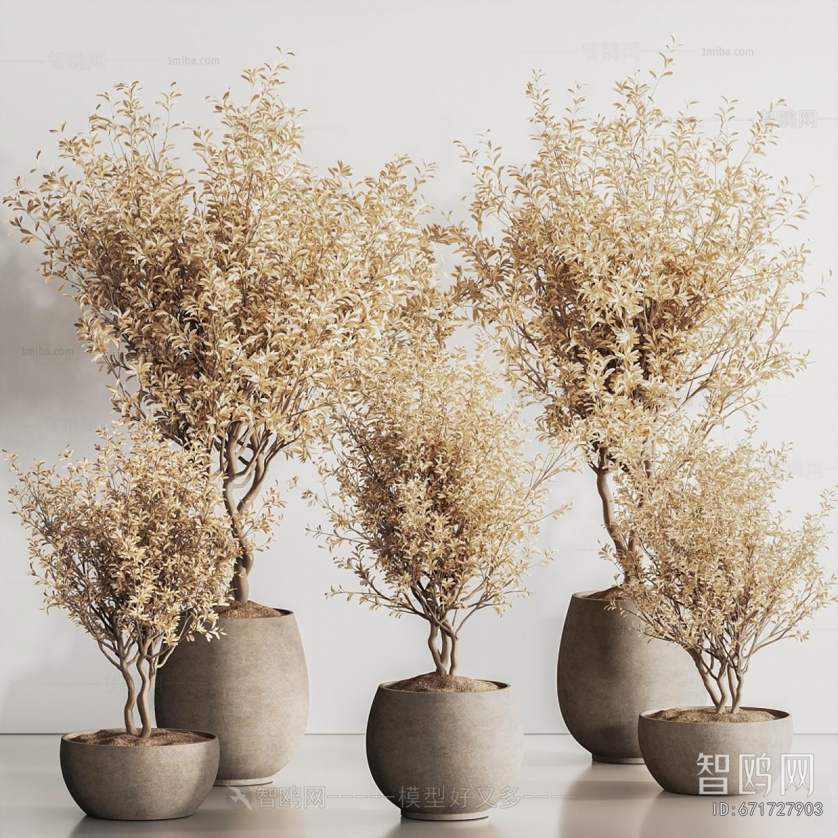 Modern Ground Green Plant Potted Plants