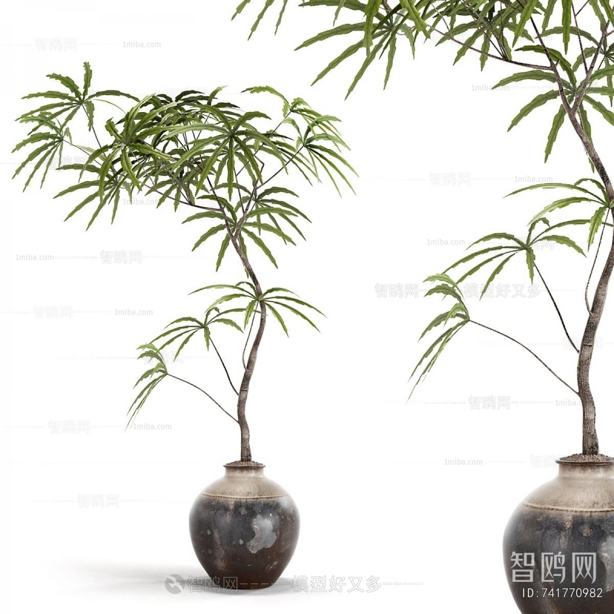 Wabi-sabi Style Ground Green Plant Potted Plants