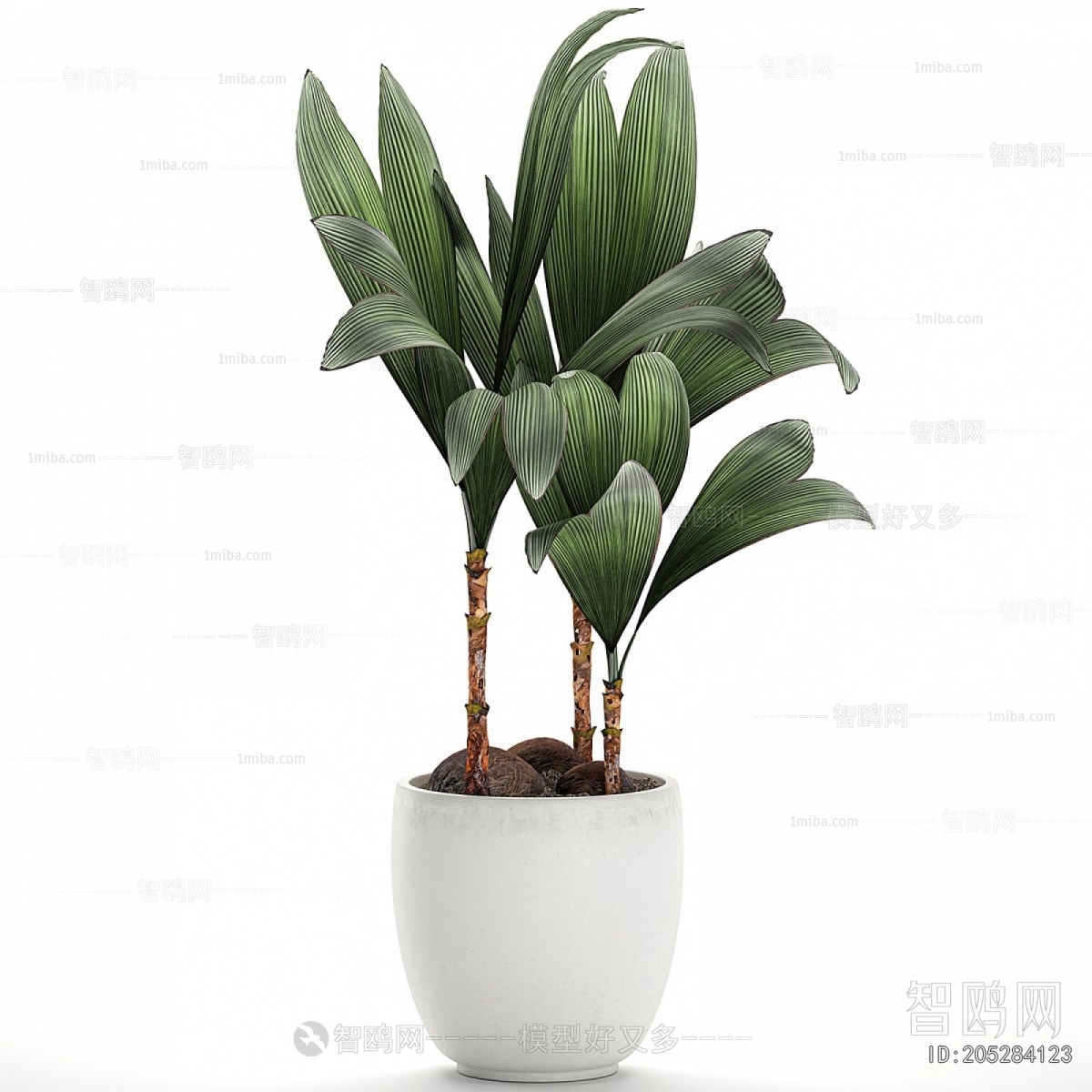 Modern Potted Green Plant