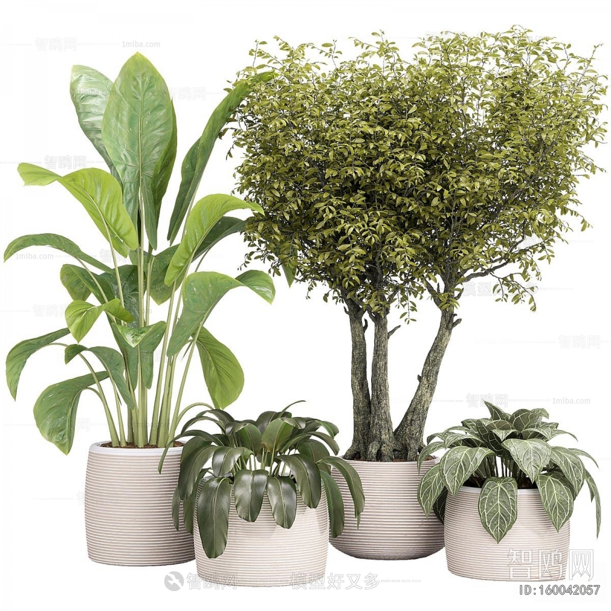 Modern Ground Green Plant Potted Plants