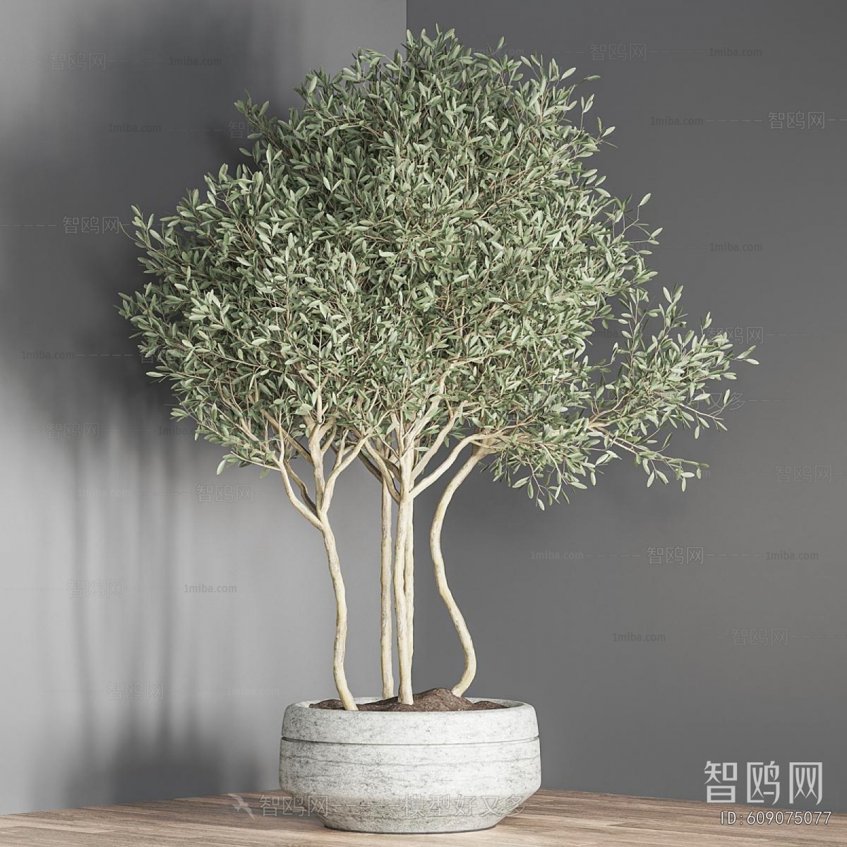 Modern Potted Green Plant