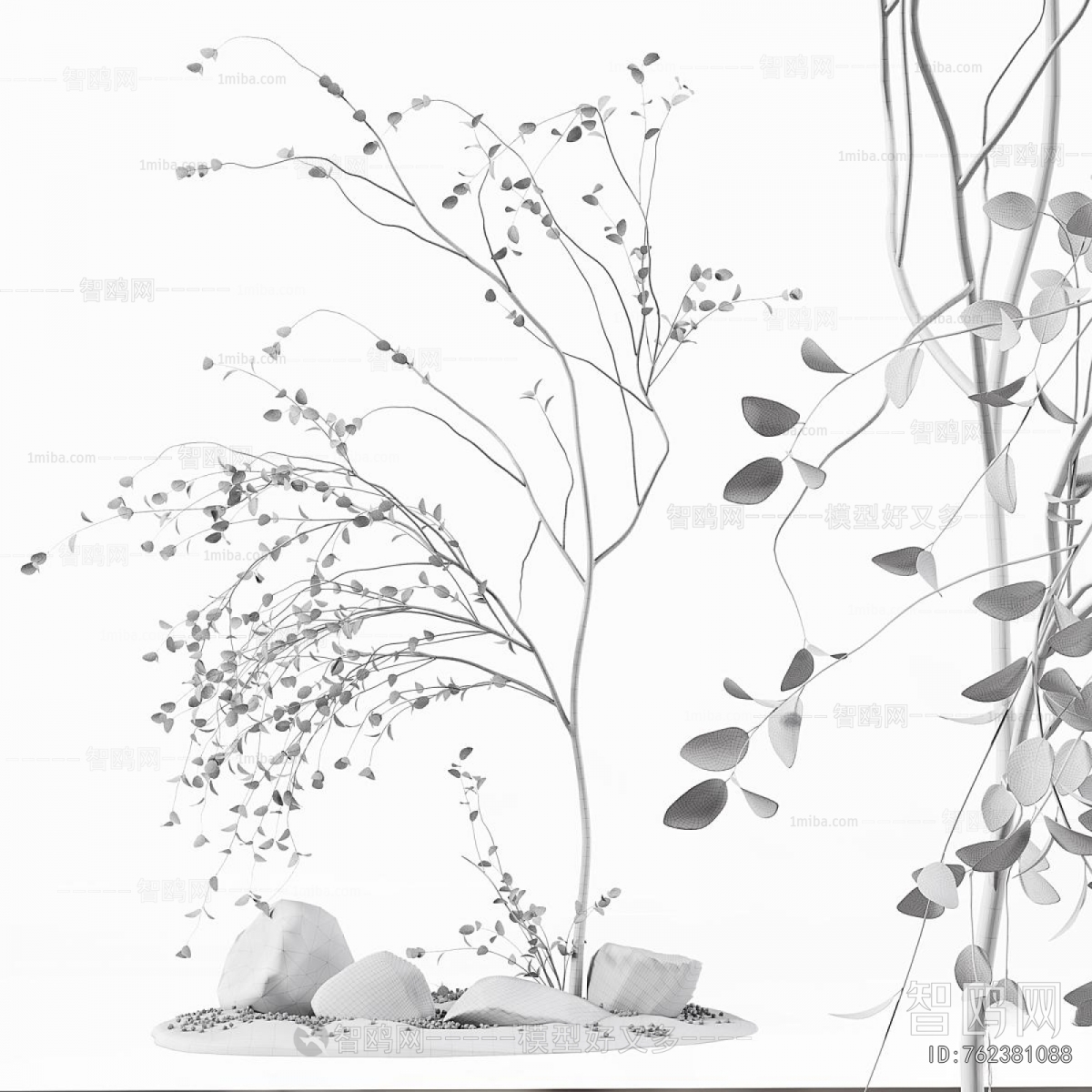Modern Plant Landscaping