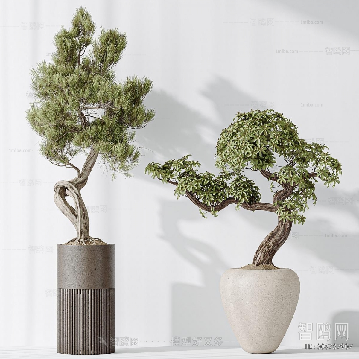 Modern Ground Green Plant Potted Plants