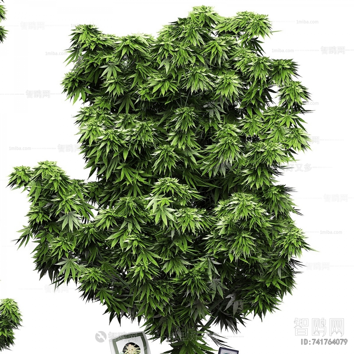 Modern Potted Green Plant