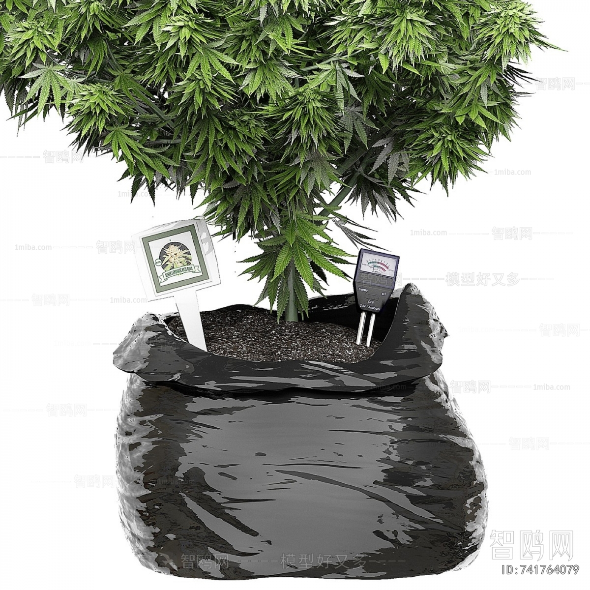 Modern Potted Green Plant