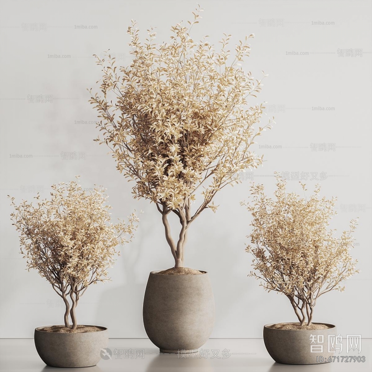 Modern Ground Green Plant Potted Plants