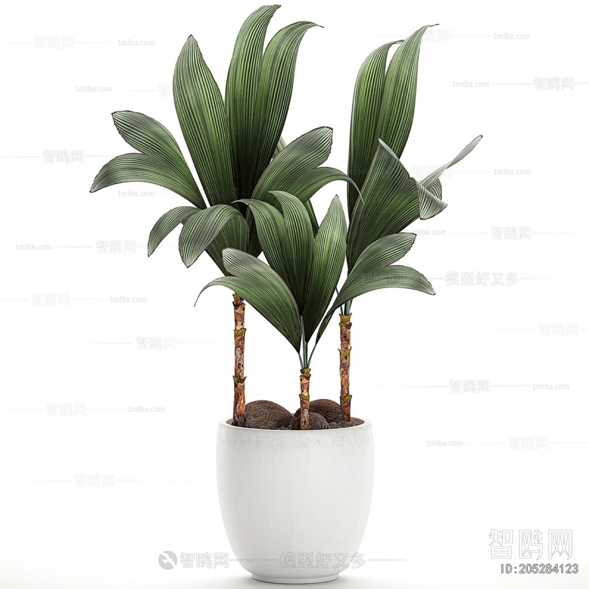 Modern Potted Green Plant