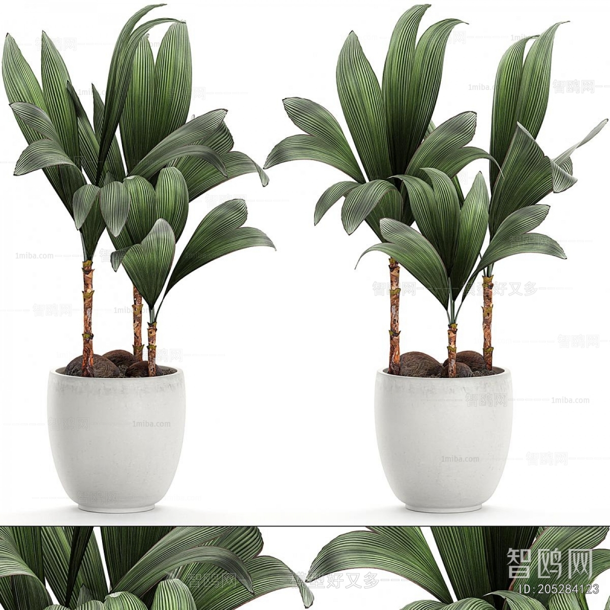 Modern Potted Green Plant