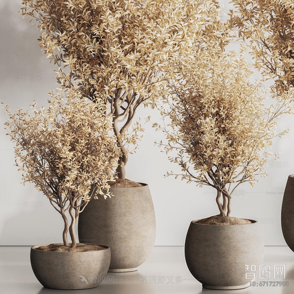 Modern Ground Green Plant Potted Plants