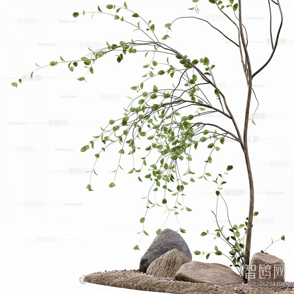 Modern Plant Landscaping