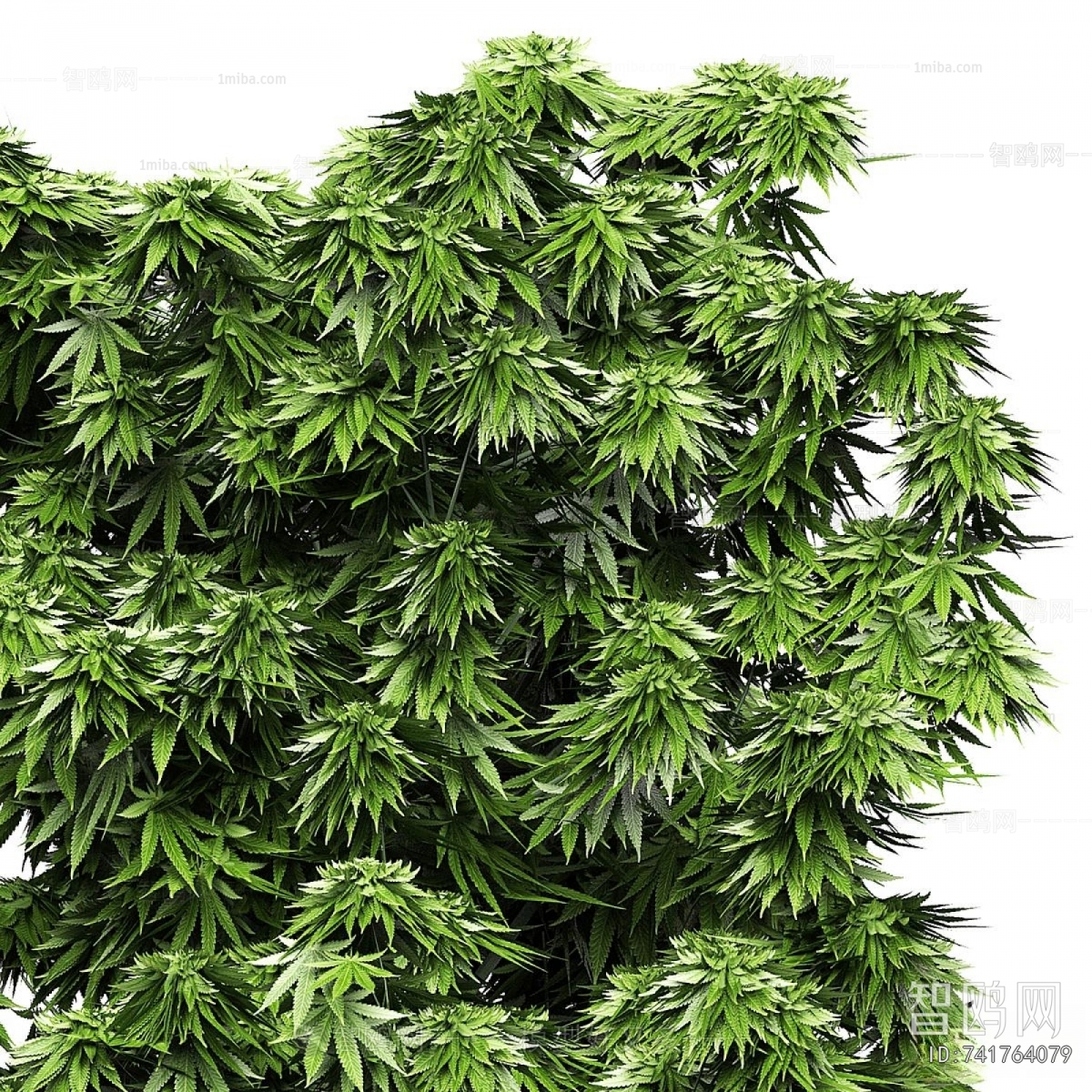 Modern Potted Green Plant