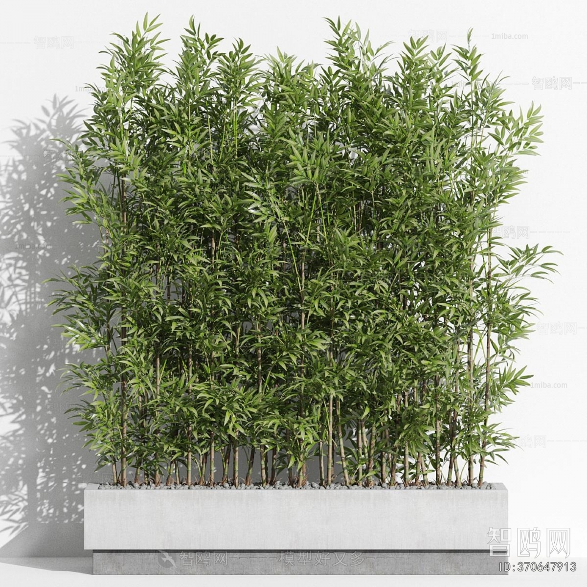 Modern Potted Green Plant