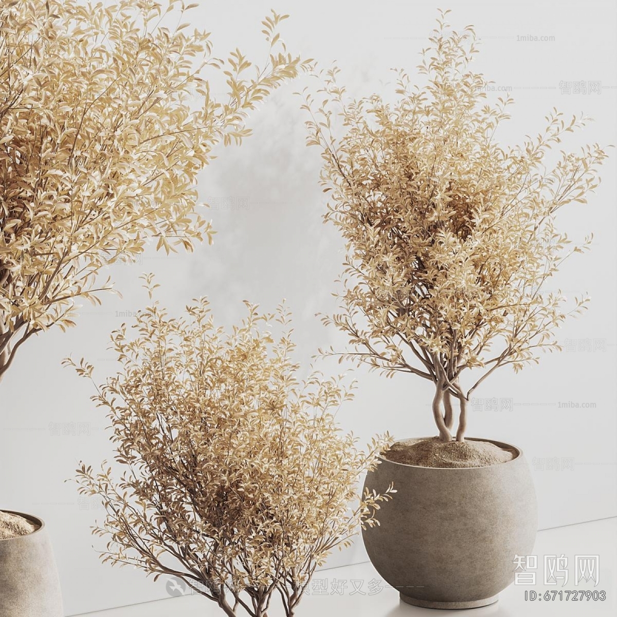 Modern Ground Green Plant Potted Plants