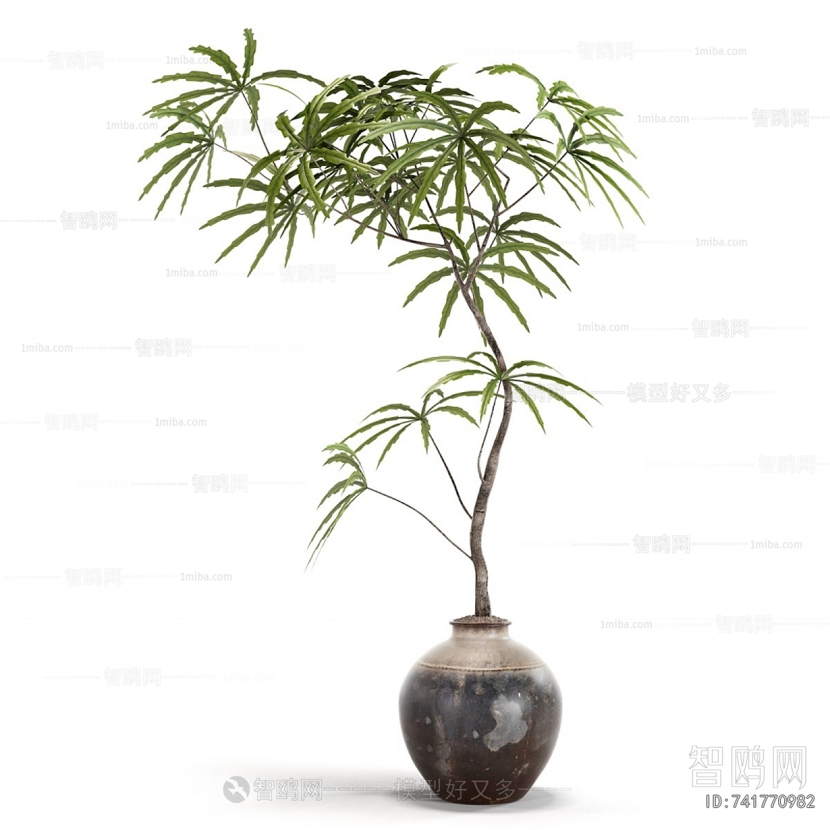 Wabi-sabi Style Ground Green Plant Potted Plants