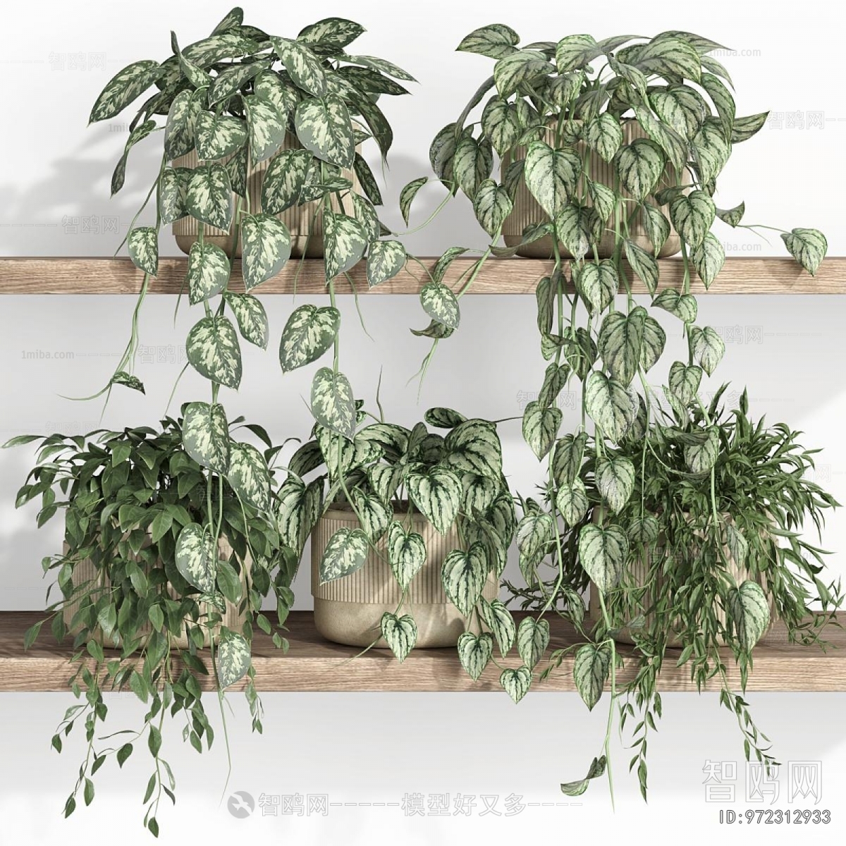 Modern Potted Green Plant