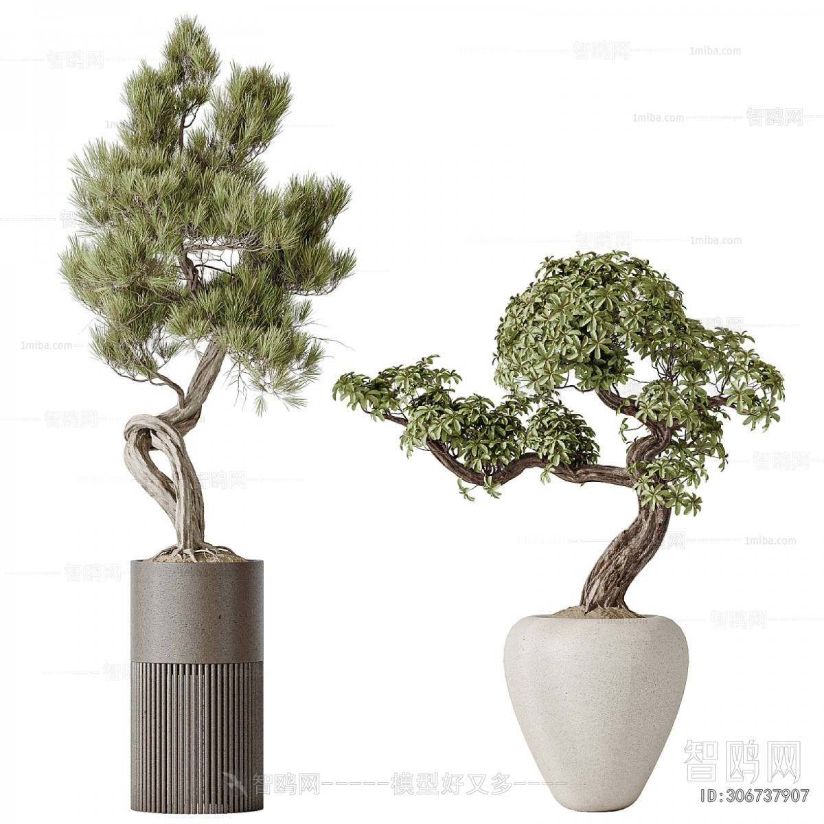 Modern Ground Green Plant Potted Plants