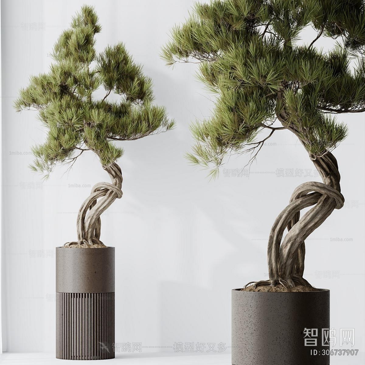 Modern Ground Green Plant Potted Plants