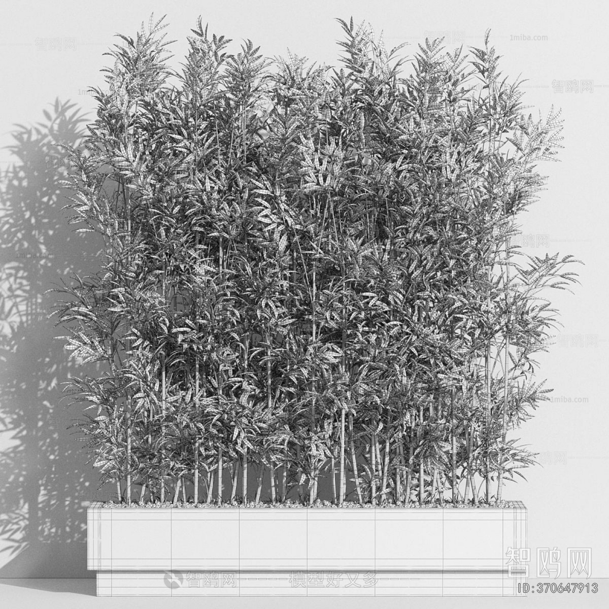 Modern Potted Green Plant