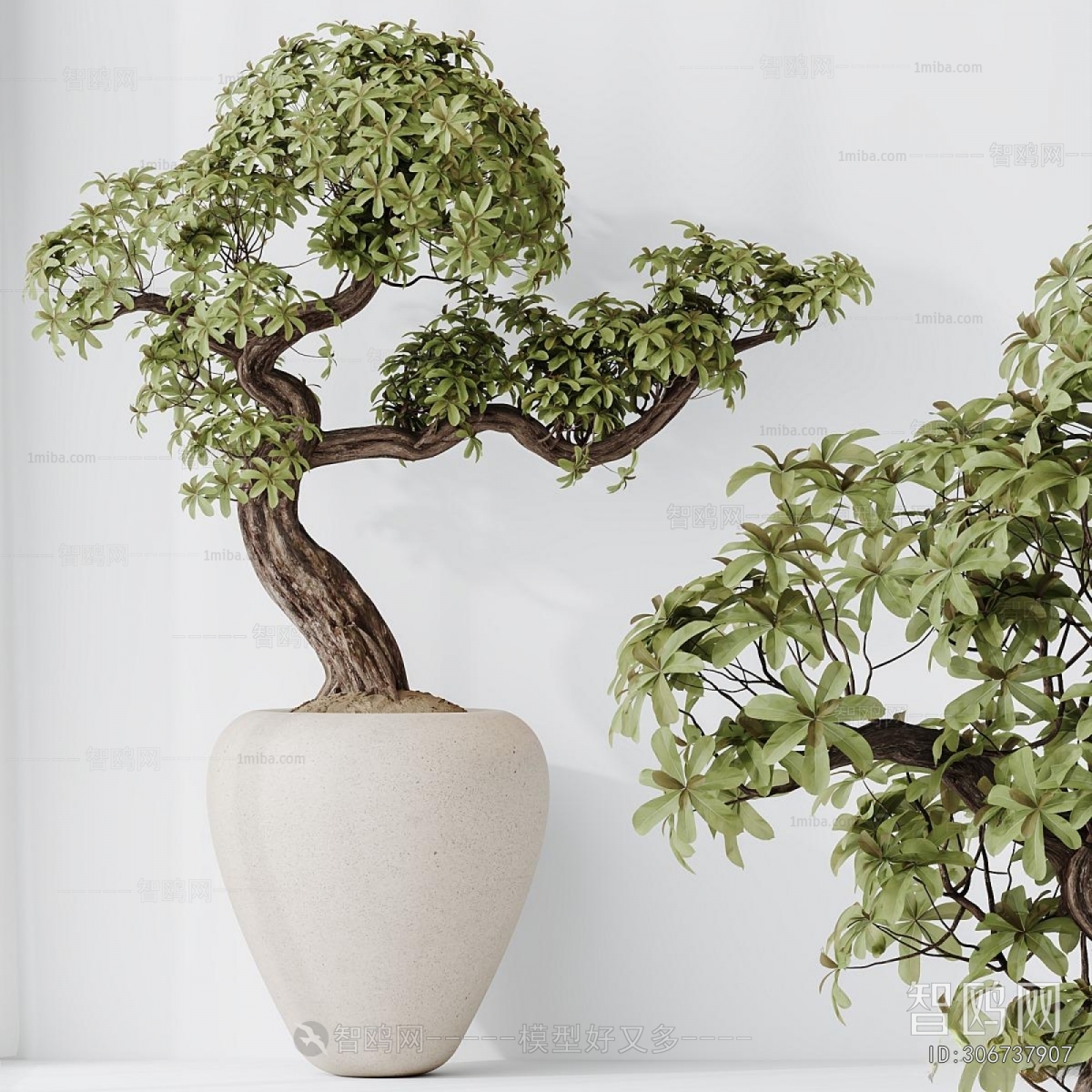 Modern Ground Green Plant Potted Plants