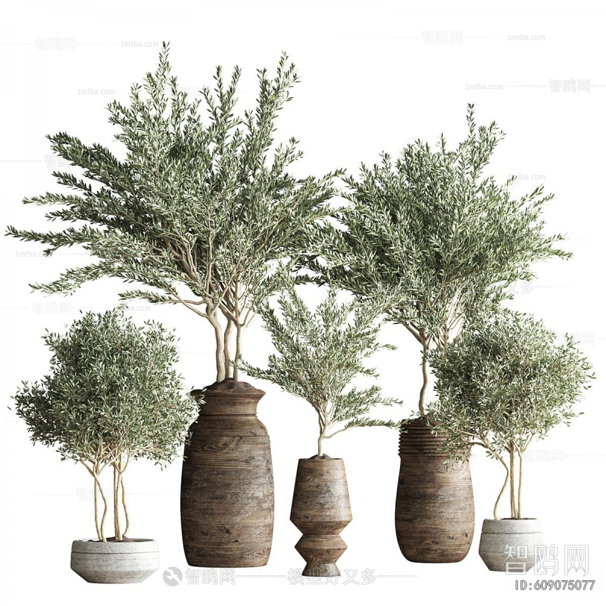 Modern Potted Green Plant