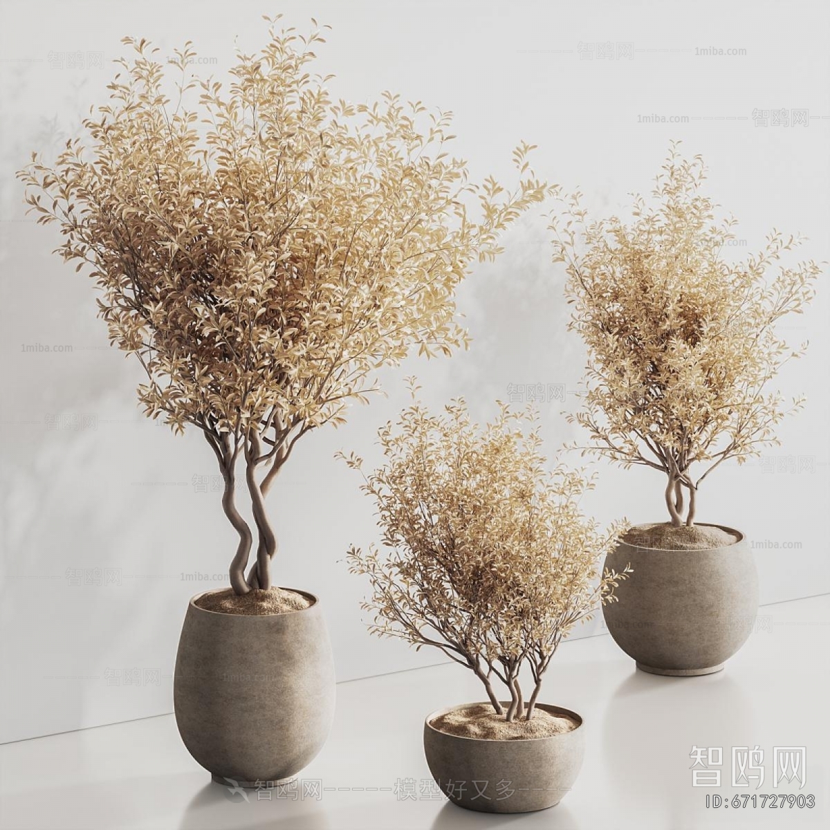 Modern Ground Green Plant Potted Plants