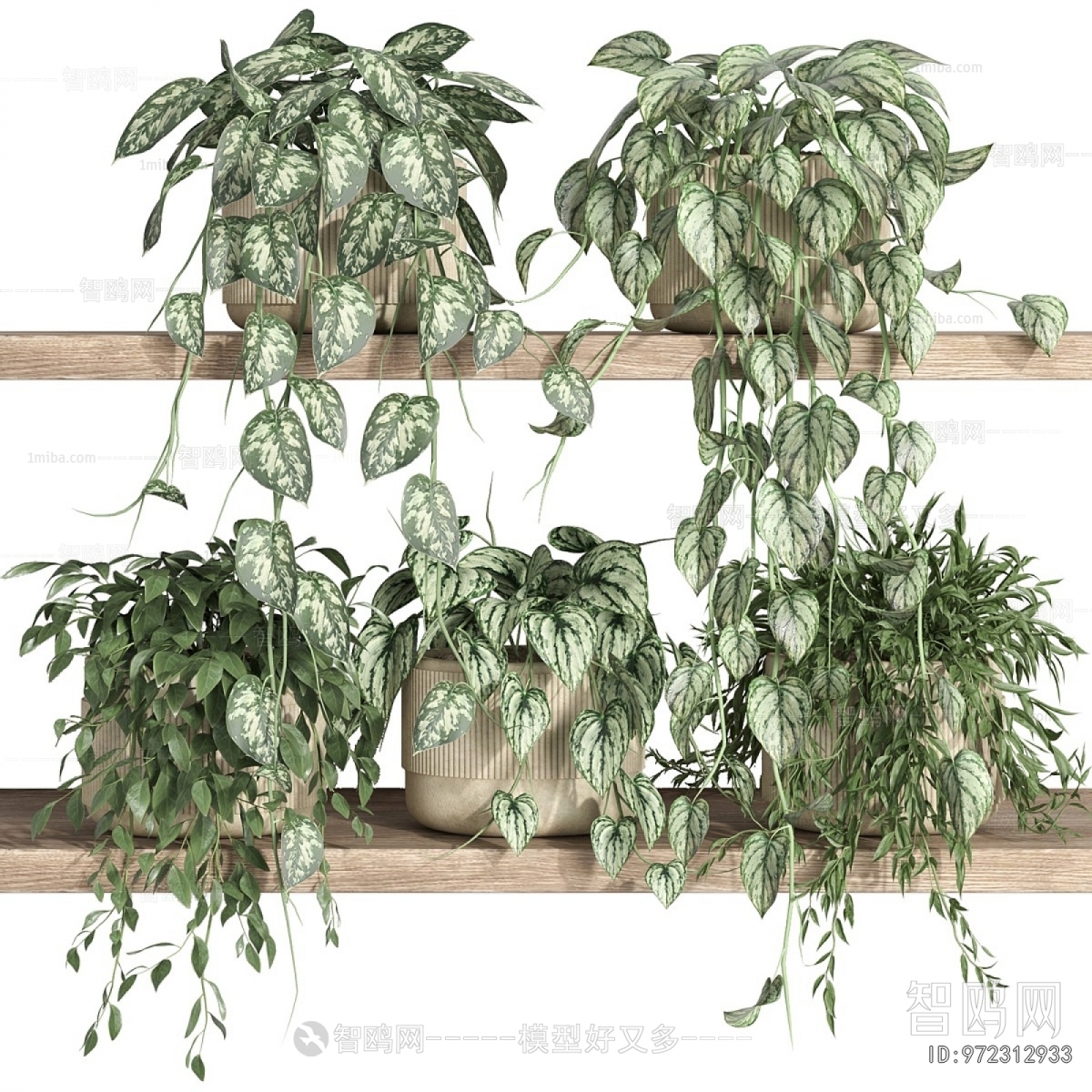 Modern Potted Green Plant