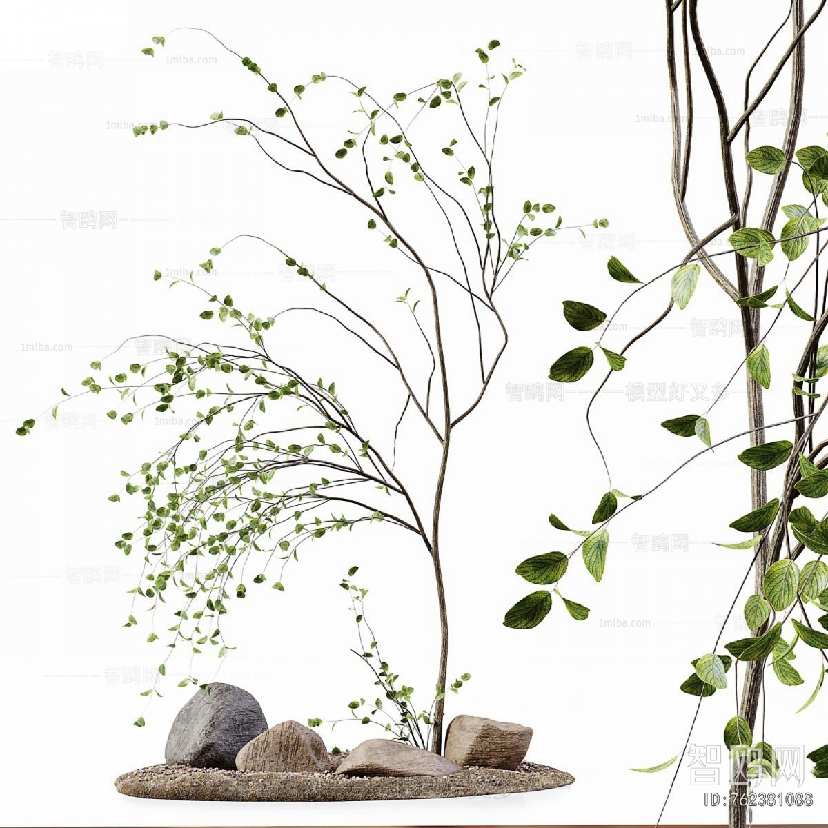 Modern Plant Landscaping