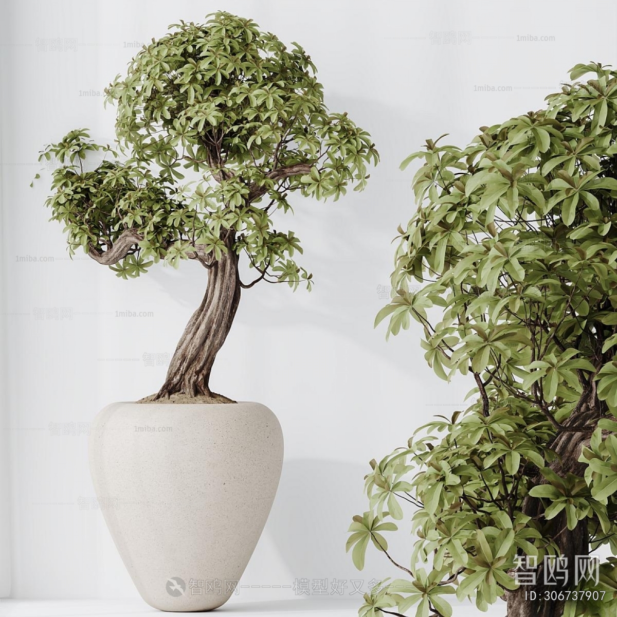 Modern Ground Green Plant Potted Plants
