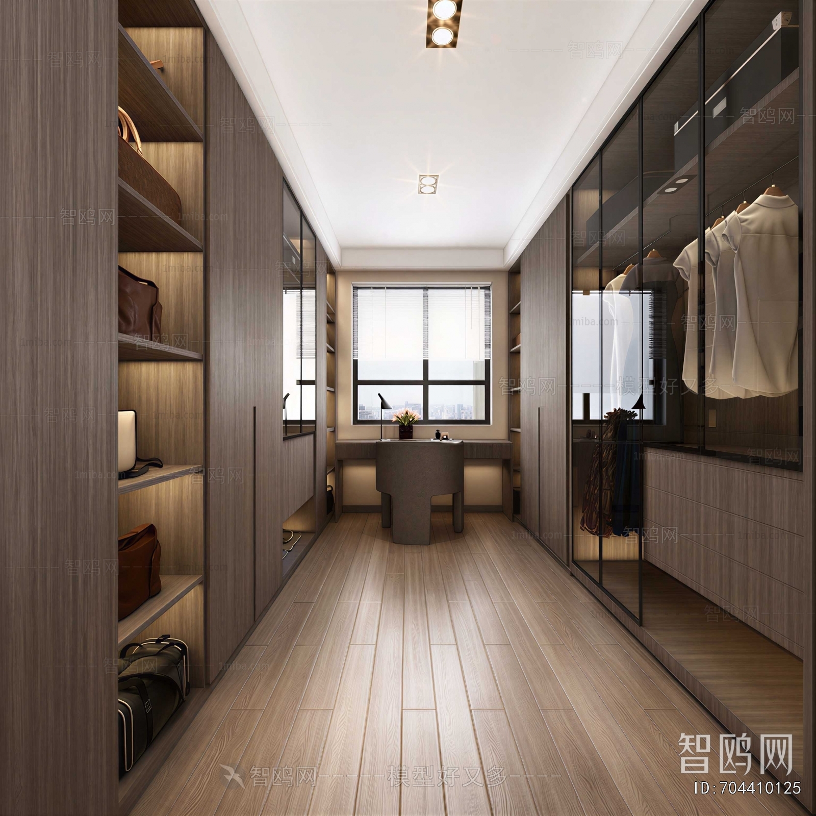 Modern Clothes Storage Area