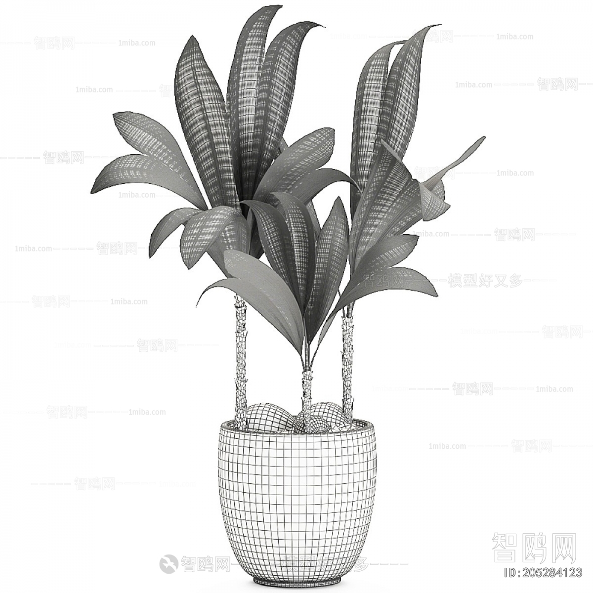 Modern Potted Green Plant