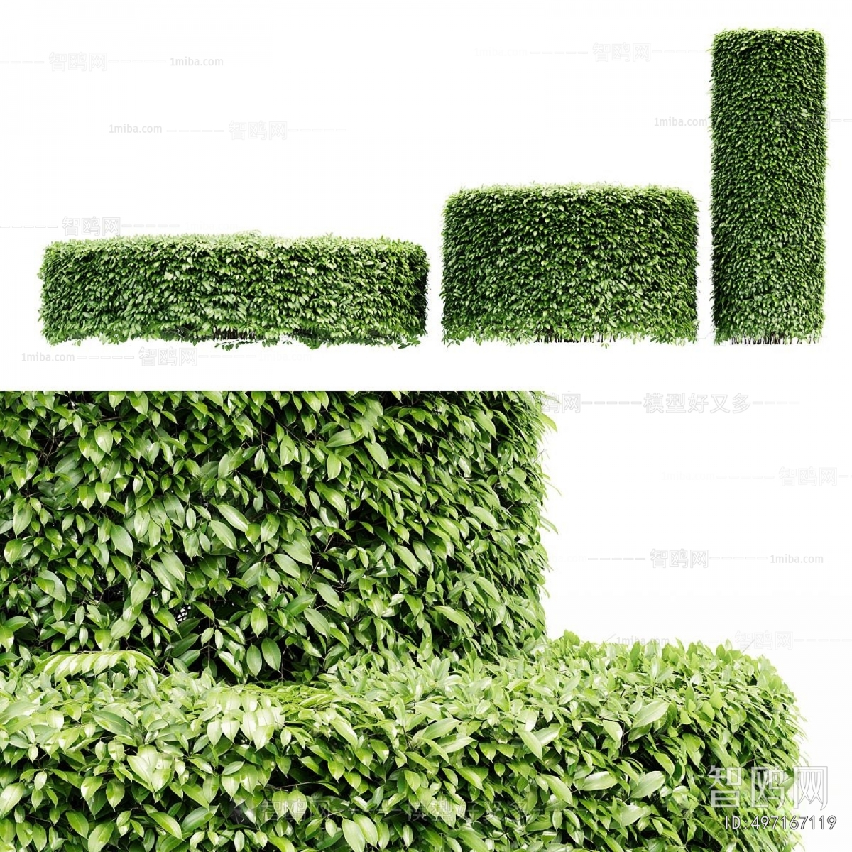 Modern Shrubbery