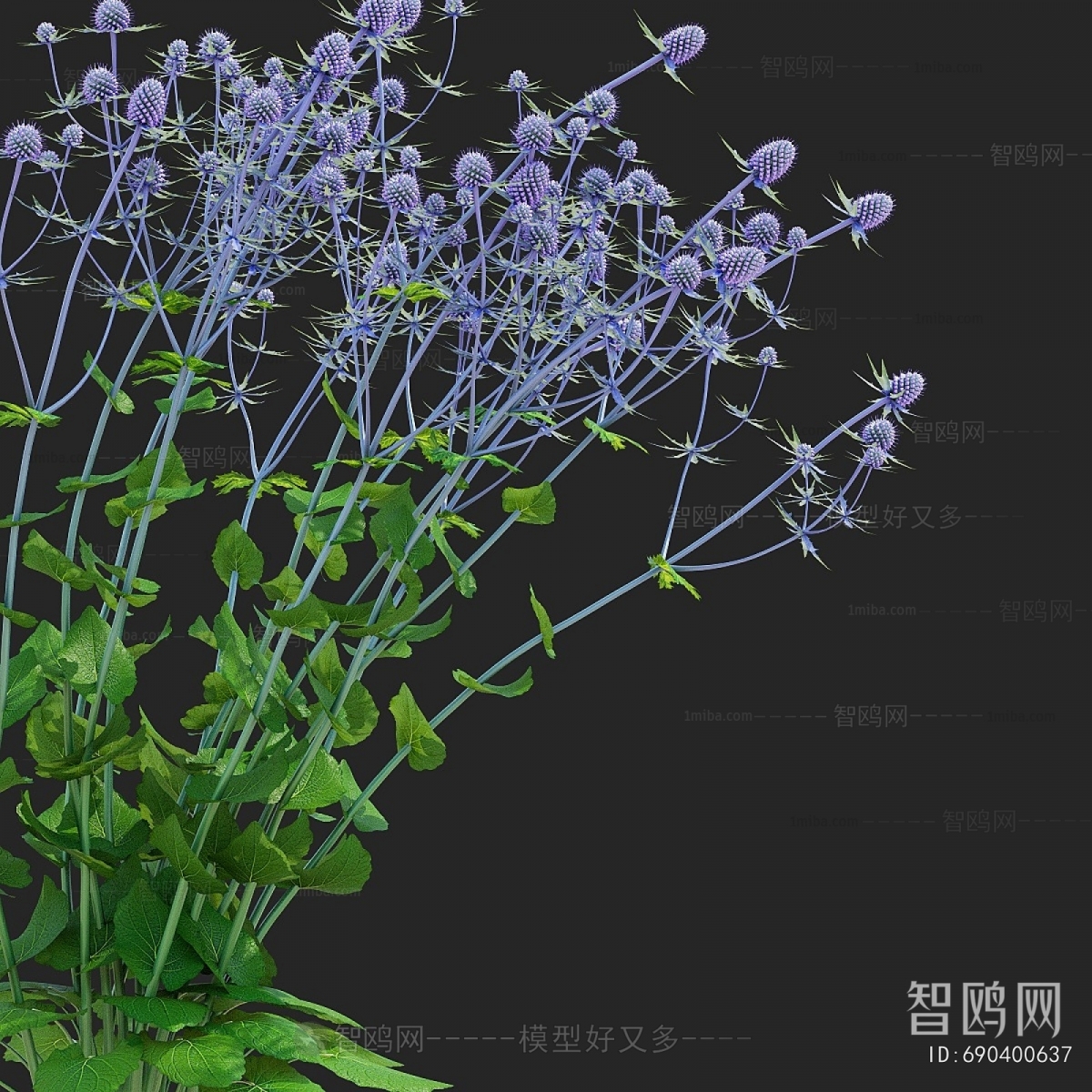 Modern Flowers And Grass