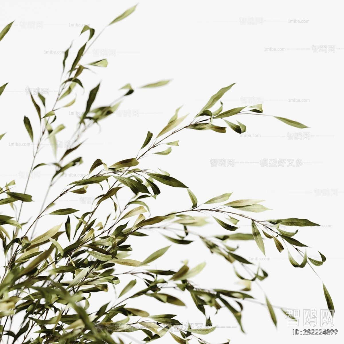 Modern Ground Green Plant Potted Plants