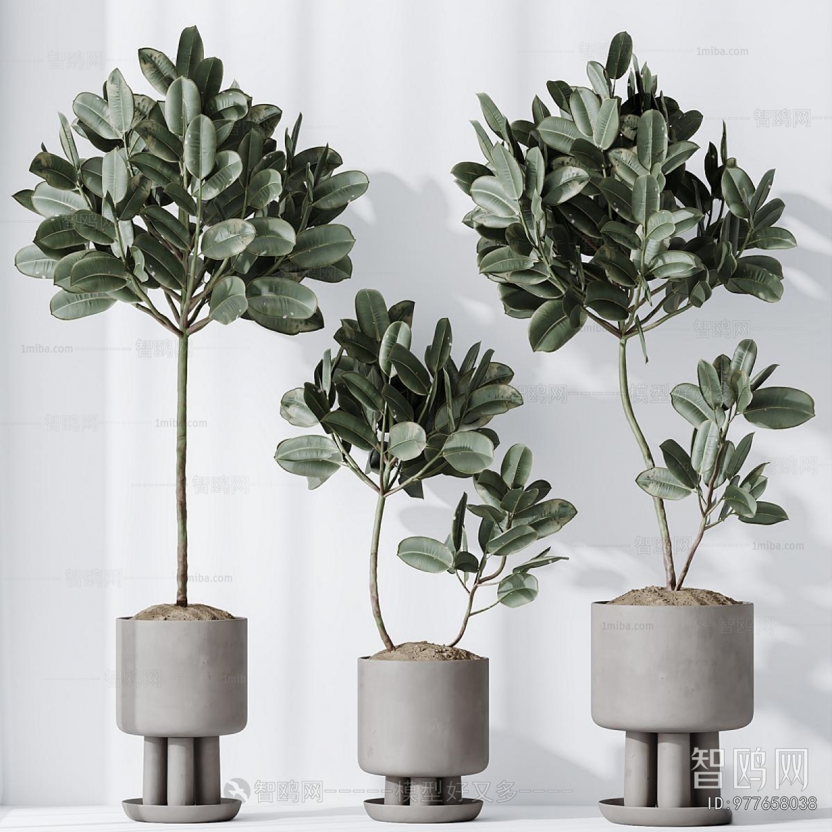 Modern Ground Green Plant Potted Plants