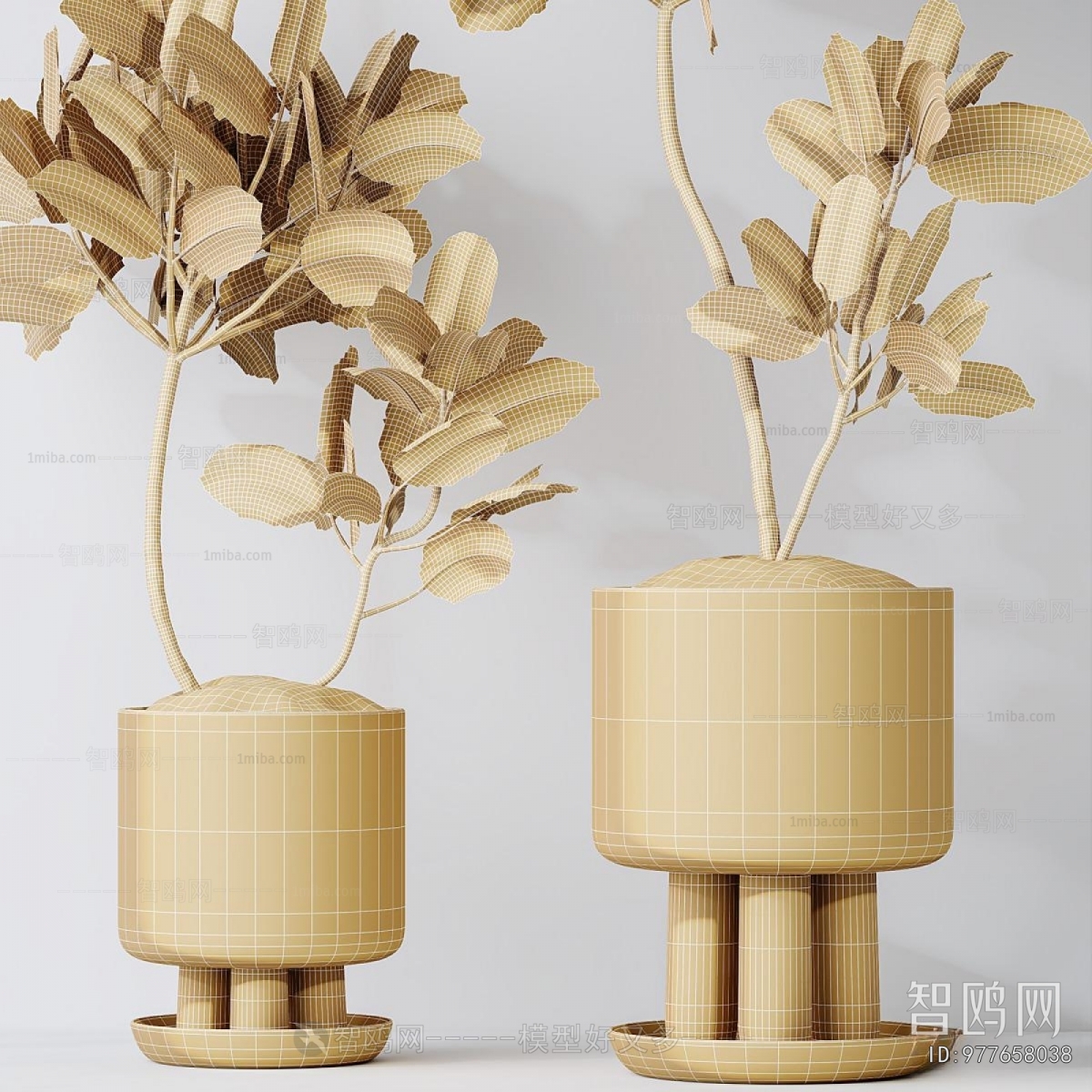 Modern Ground Green Plant Potted Plants