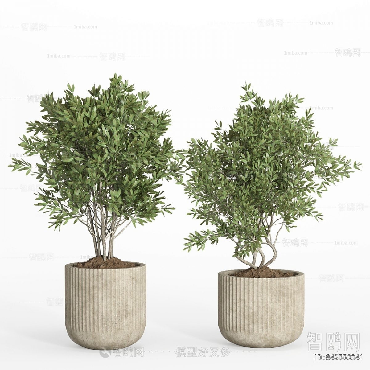 Modern Ground Green Plant Potted Plants