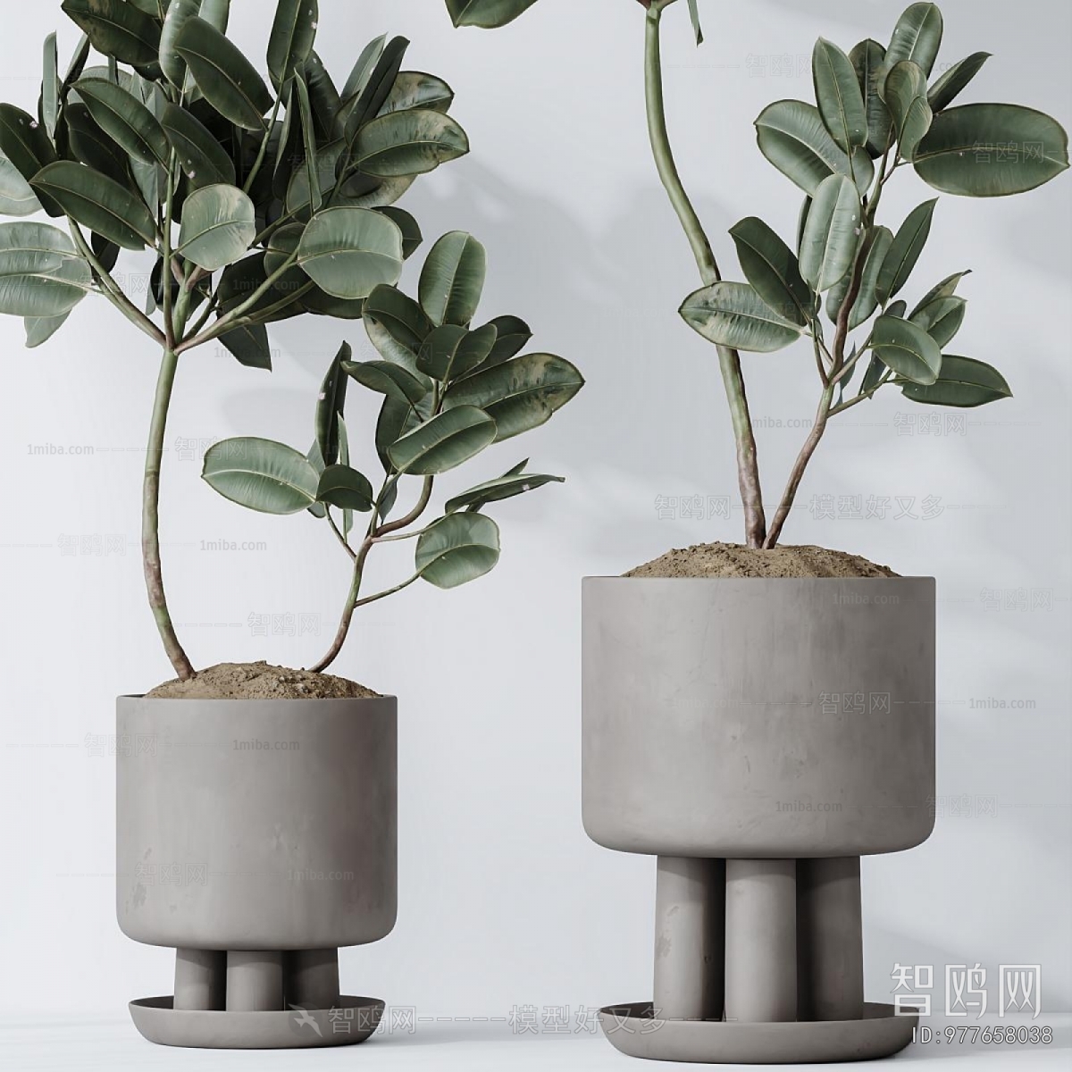 Modern Ground Green Plant Potted Plants