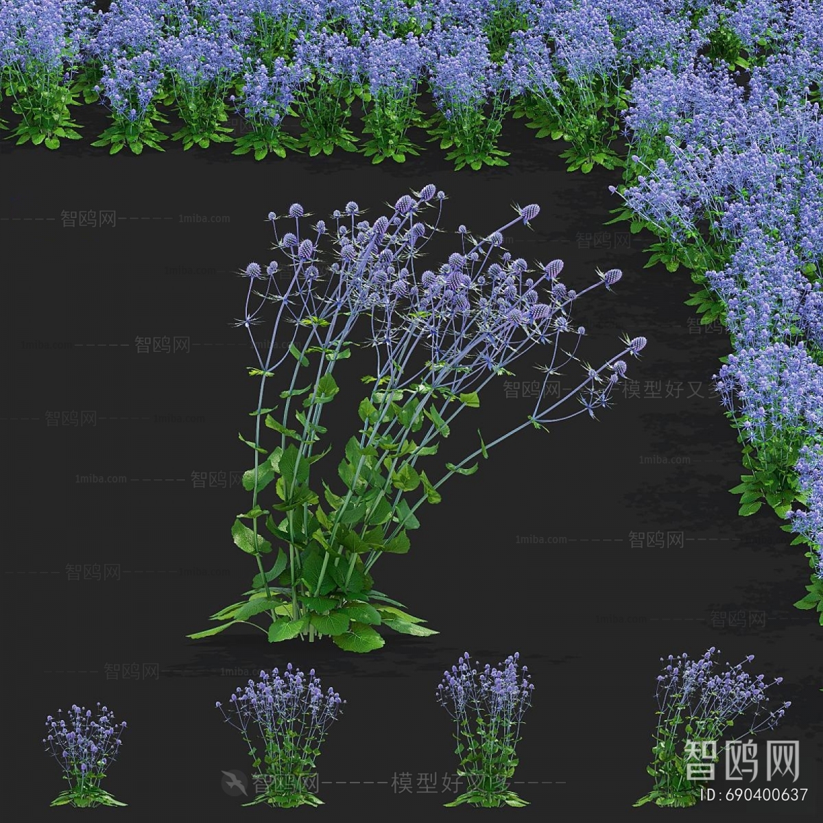 Modern Flowers And Grass