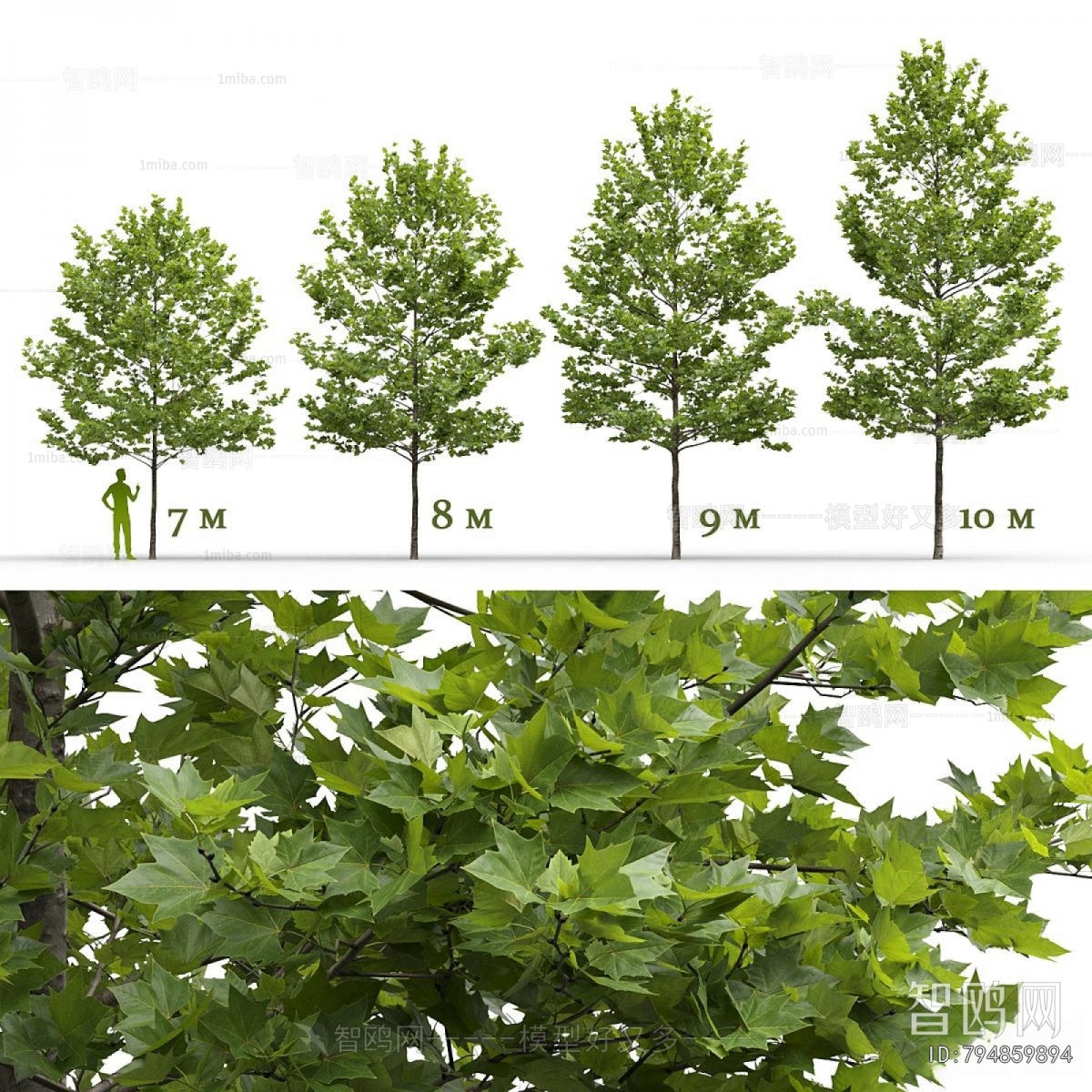 Modern Tree