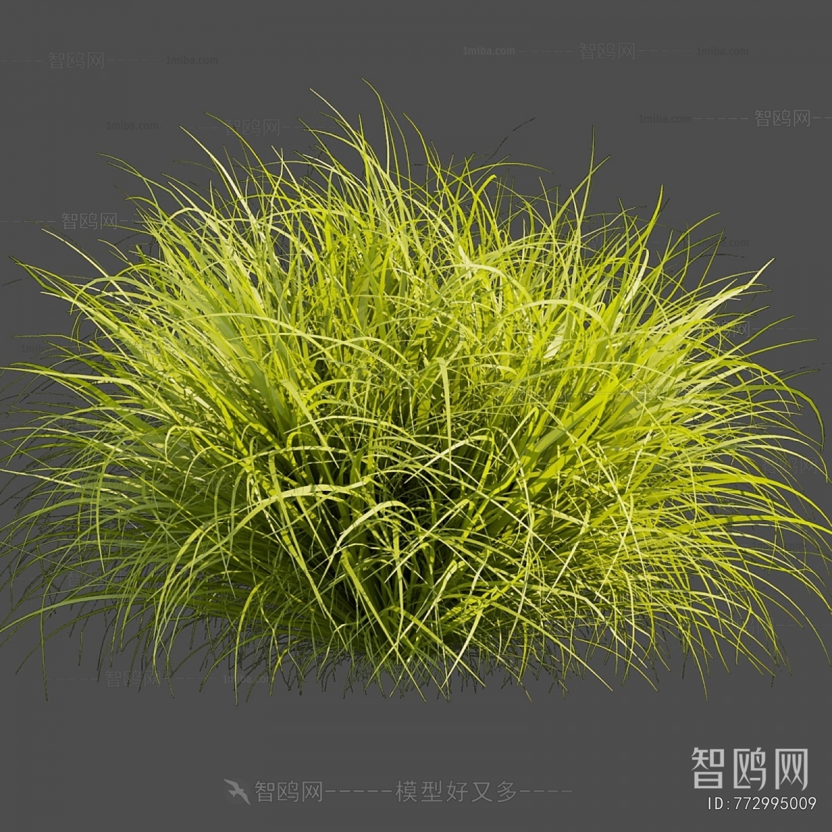 Modern The Grass